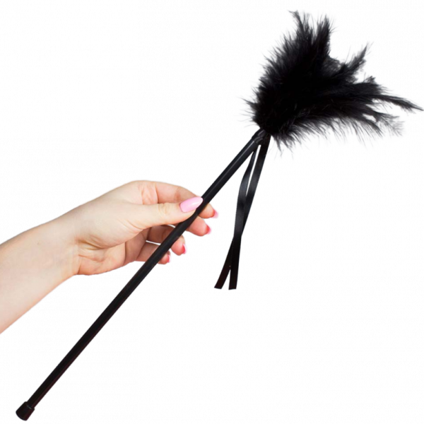 SECRETPLAY - PLUMERO PLUMAS NEGRO 40 CM