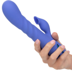 CALEXOTICS - L.A LOVE VIBRATOR  SUCTION BLUE BY CALIFORNIA DREAMING
